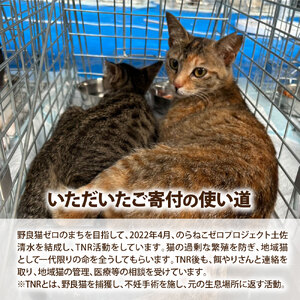 のらねこゼロプロジェクト 一口 100,000円（30,000円分）返礼品なし 【R01386】
