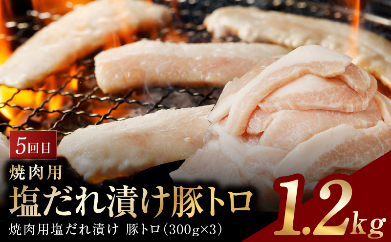 アキラ商店 肉三昧 プレミアム 定期便 全6回【毎月配送コース お楽しみ 焼肉 ていきびん 焼くだけ 小分け BBQ やきにく 数量限定】 099Z129