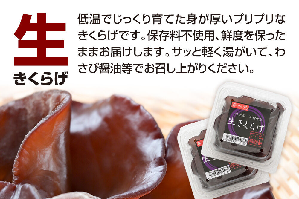 みちのくの小京都・角館が育んだ「生きくらげ」約100g×6個 [きくらげ 木耳 キクラゲ 生 肉厚 秋田県 仙北市 角館]