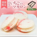 【ふるさと納税】【数量限定】常滑いちごのマカロン【10個セット】【期間限定】常滑産苺 マカロン 苺 スイーツ 洋菓子 焼き菓子 お菓子 デザート パティスリーマージュ 人気の返礼品 ギフト 贈り物 ご褒美 高級菓子 送料無料
