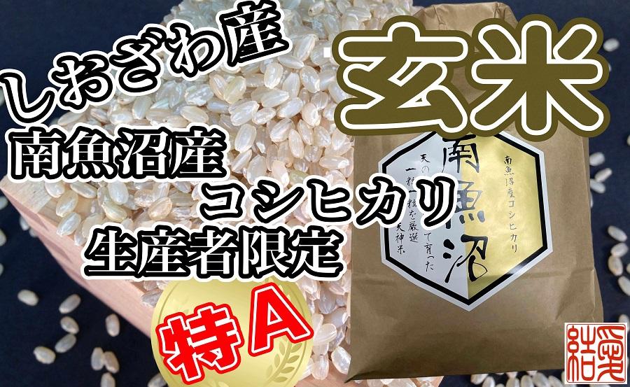 【令和7年産】【定期便】玄米 南魚沼しおざわ産コシヒカリ4Kg×6ヶ月【2025年10月上旬より順次発送予定】