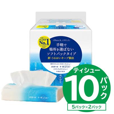 ふるさと納税 可児市 エリエール +Water(プラスウォーター)ソフトパックティシュー　120W5P×2パック