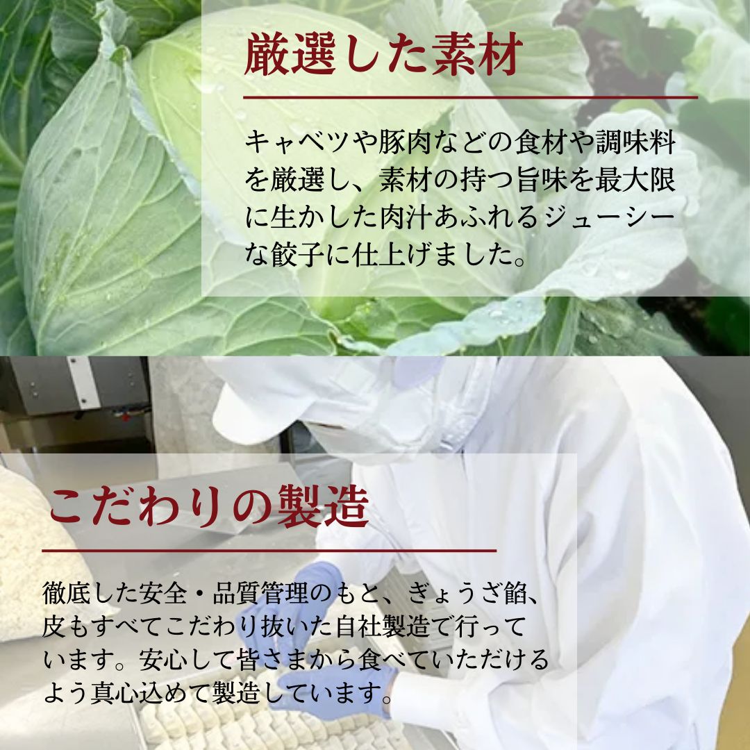 餃子 越後まるきよ餃子 5袋 セット ぎょうざ ギョウザ ごはんのお供