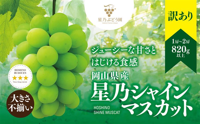 【訳あり】粒の大きさが不揃い 星乃シャインマスカット 820g 1房～2房【配送不可地域：離島・北海道・沖縄県】
