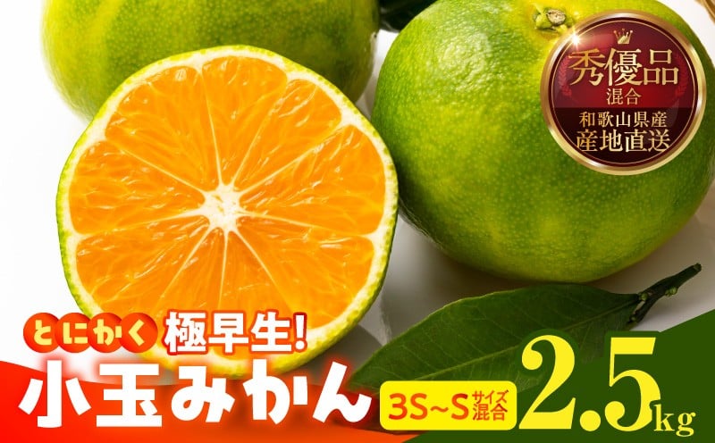 
                  MK1077_【2026年先行予約】とにかく小玉 みかん 極早生 箱込 2.5kg ( 内容量 2.3kg ) 3S～Sサイズ 秀品 優品 混合 有田みかん 和歌山県産
                