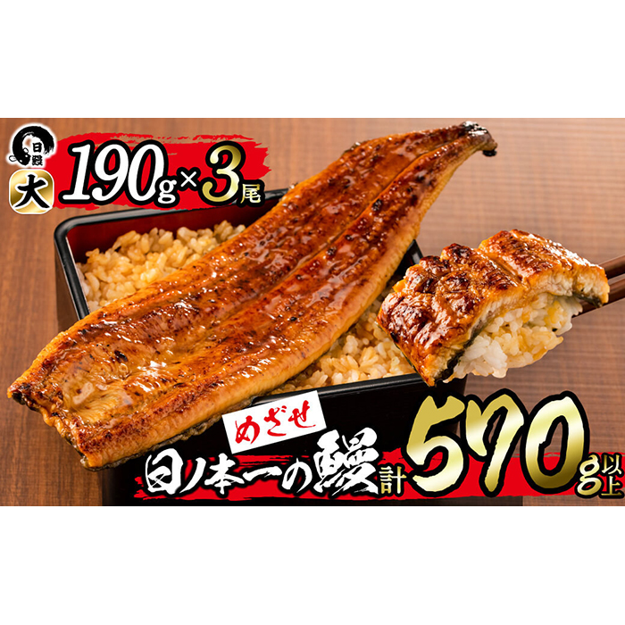 日ノ本一の鰻の蒲焼き＜大＞3尾セット(計570g以上) b7-029