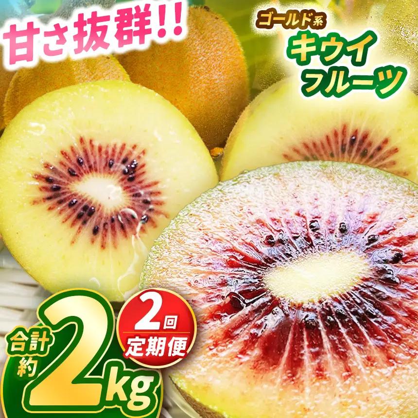 【定期2回】【2026年先行予約】完熟 甘さ抜群のゴールド系 キウイフルーツ 約1kg | 果物 くだもの フルーツ 野菜 やさい ヤサイ キウイ きうい ゴールドキウイ ごーるどきうい 新鮮 フレッシュ 甘い 美味しい フルーツ デザート 栃木県 那珂川町 送料無料