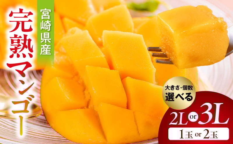 
            【選べる大きさ・個数】【期間・数量限定】宮崎県産完熟マンゴー_M359-002-SKU
          