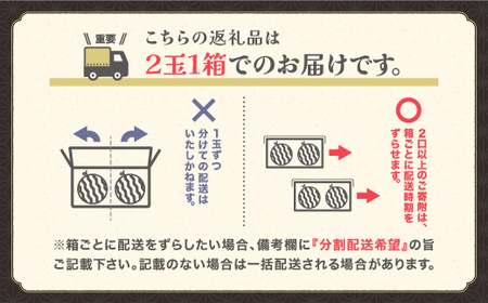 尾花沢産 スイカ すいか 2Lサイズ×2玉 令和8年産 kb-su2xx2