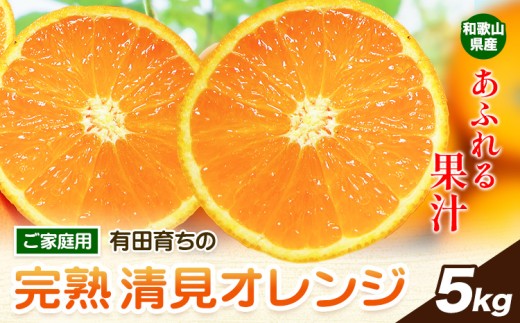 清見オレンジ ノーワックス 有田育ちの完熟清見オレンジ 約5kg 有田マルシェ ご家庭用《2027年2月下旬-5月上旬頃出荷》和歌山県 日高町 清見オレンジ 柑橘 柑橘類