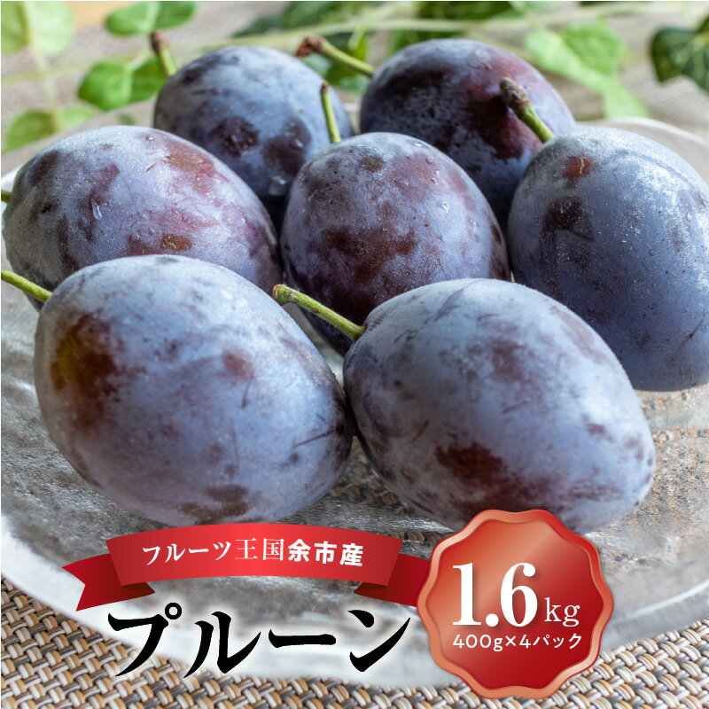 【ふるさと納税】【順次発送中】フルーツ王国余市産「プルーン」 400g×4パック【ニトリ観光果樹園】 特産品 フルーツ 果物 有機栽培 完熟 収穫 甘酸っぱい みずみずしい 濃厚 食味 品種 ビタミン ミネラル 食物繊維 抗酸化作用 美容 健康 有機堆肥 北海道 余市町 送料無料