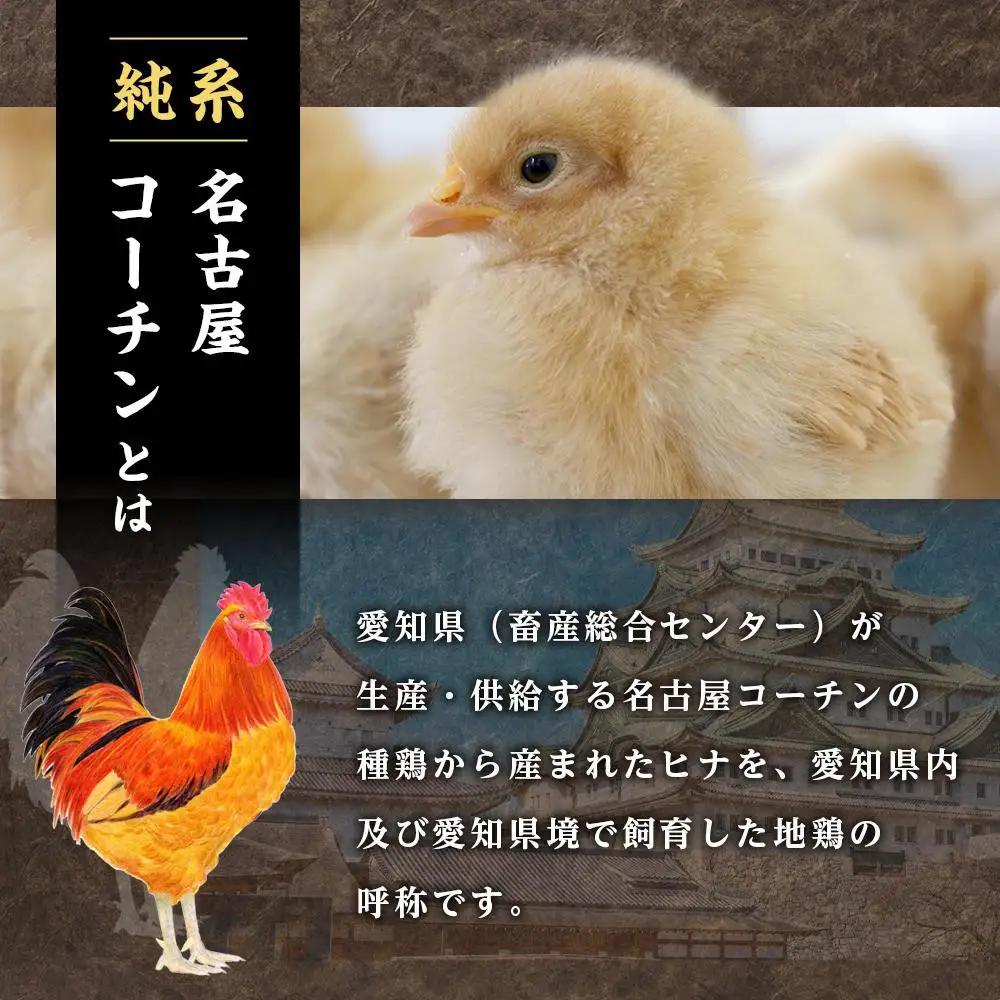 純系名古屋コーチン　豪華鶏肉セット 地鶏