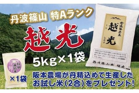 令和６年産　丹波篠山産　特Aランク　越光　（５kｇ×１袋） Y028