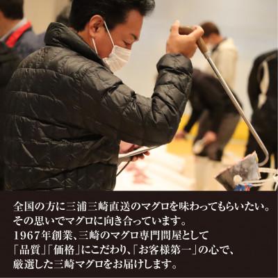 ふるさと納税 三浦市 三崎マグロ　鈴木水産　天然マグロ(中トロ3柵)セット |  | 03