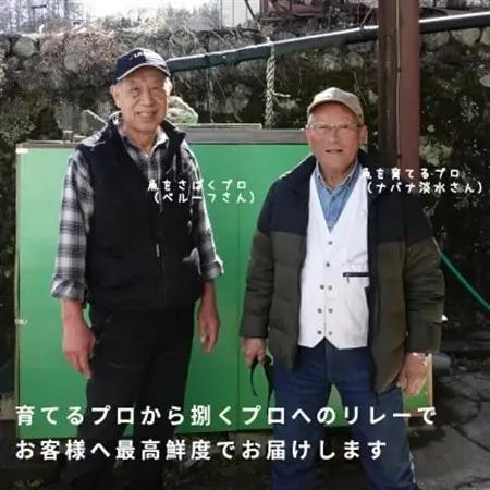 【発送月固定定期便】冷凍 八ヶ岳信州サーモン 150g×2パック全4回【配送不可地域：離島】【4080205】