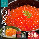 【ふるさと納税】三印 北海道産 いくら醤油漬(250g×1入) お取り寄せ 送料無料