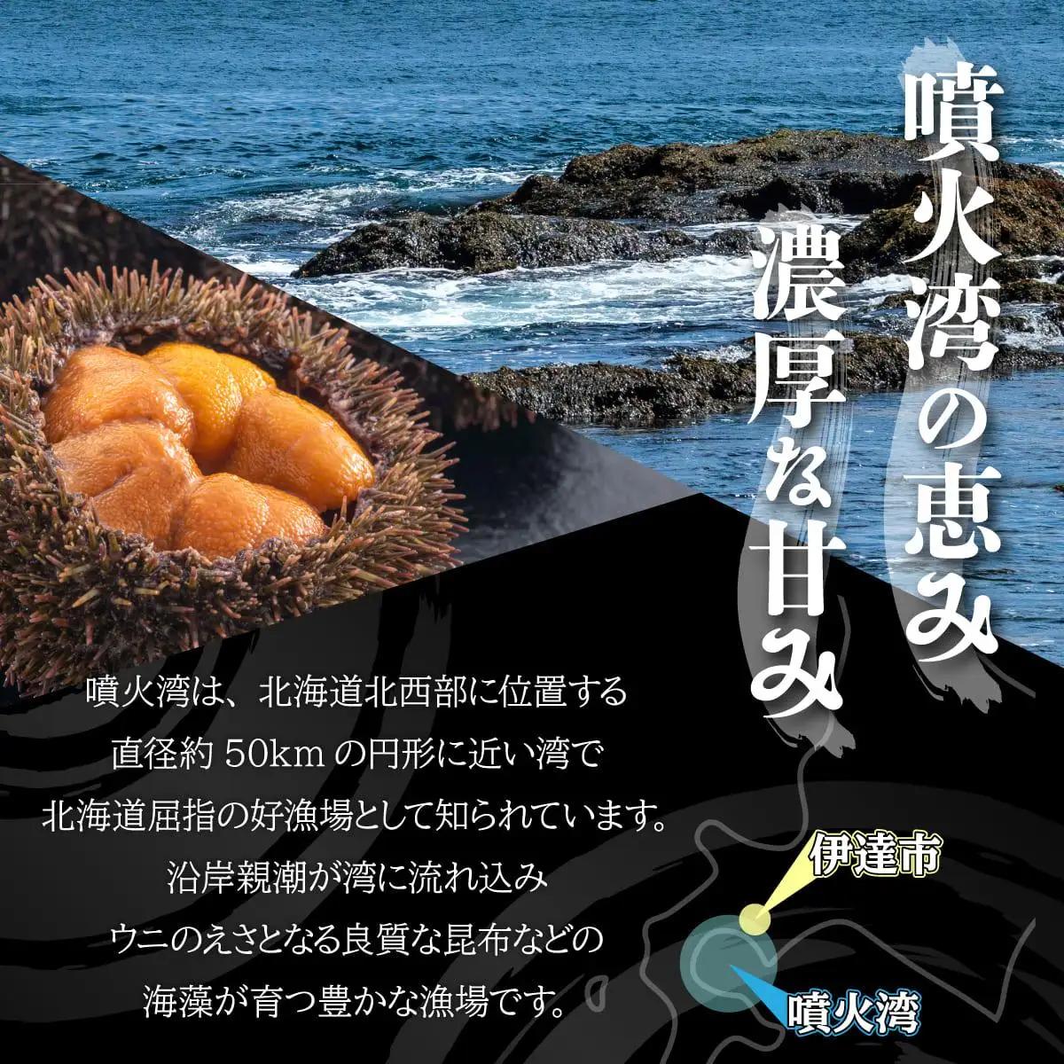 訳あり 北海道 噴火湾産 塩水 バフンウニ 100g 1パック 《アフター保証付き》うに ウニ 雲丹 海鮮 海の幸 魚介類 ウニ丼 お寿司 濃厚 無添加 産地直送 お取り寄せ 山村水産 送料無料