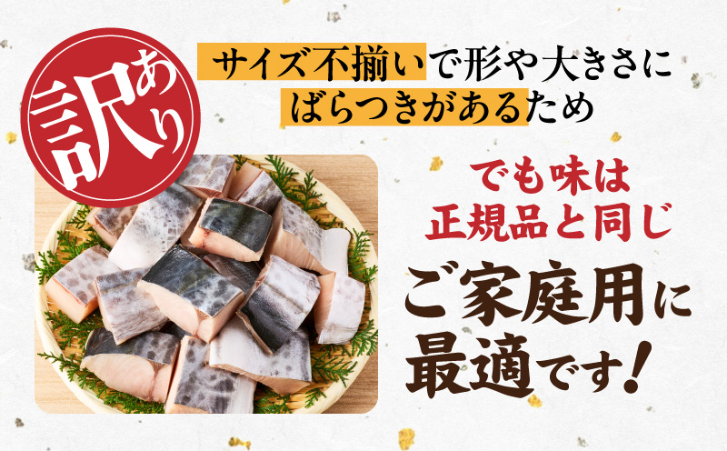 【お弁当サイズ】さわら 切身 約50g×10切れ【小分け 漁師 手切り 500g 泉州 鰆 切り身 弁当 朝食 時短 訳あり サイズ不揃い 規格外 冷凍食品 スピード発送】
