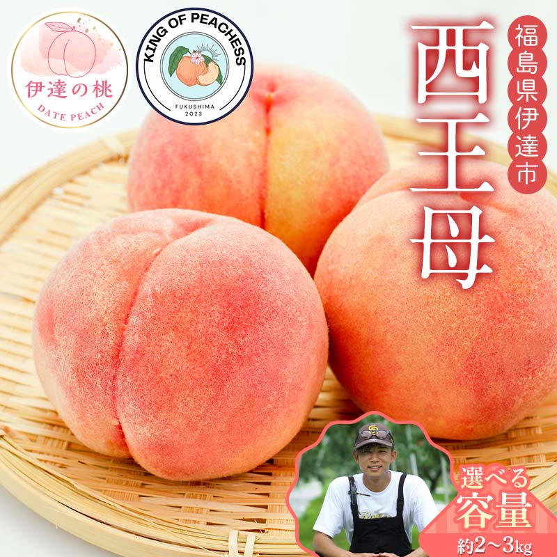 【ふるさと納税】＼容量が選べる／キングオブピーチ 桃 「西王母」約2kg～3kg 西王母 伊達の桃 桃 もも モモ 果物 くだもの フルーツ 国産 食品 F21C-143var