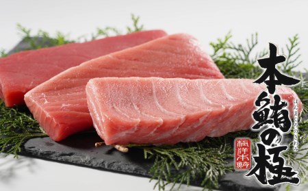 国産 本鮪 本まぐろ 生 冷蔵  大トロ 200g 中トロ 550g 赤身 250g 養殖 計 1kg 柵 刺し身 刺身 漬け ユッケ まぐろたたき 寿司 軍艦 贈答 ギフト 発送期間: 1月10日～