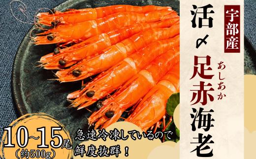 【活き〆】冷凍 足赤えび 500g