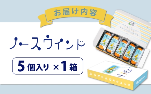 ノースウインド5個入り【カシュカシュ洋菓子店】 [AKCG004]