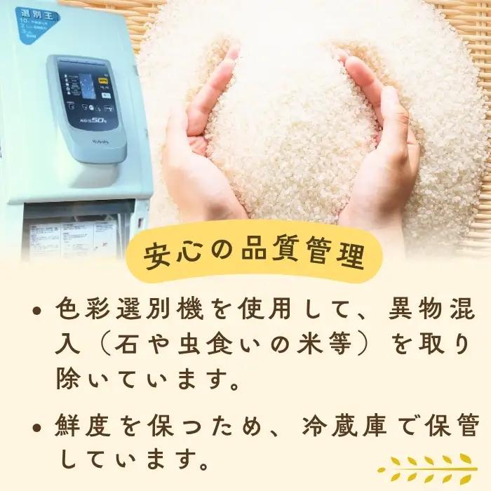 【新米予約】亜鉛米 こしひかり 無洗米 ５kg 真空パック