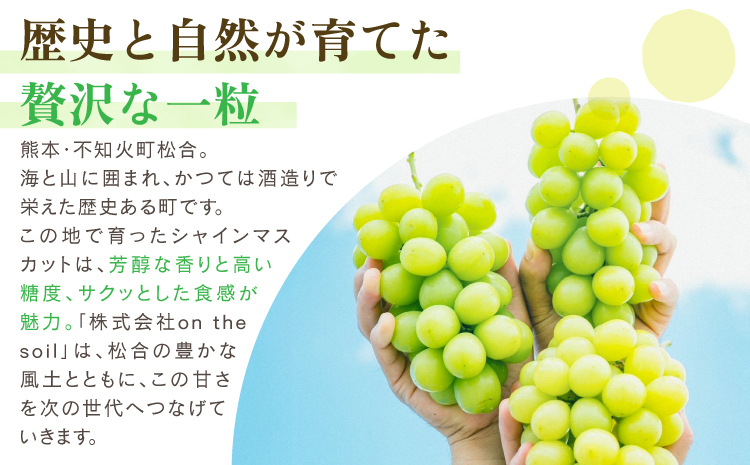 シャインマスカット 2～3房 約1.2kg  2025年発送 先行予約 フルーツ ぶどう 果物 大粒 高級 ブドウ 葡萄 くだもの 果物 マスカット 宇城市産 熊本県産 九州産 国産 冷蔵 【2025
