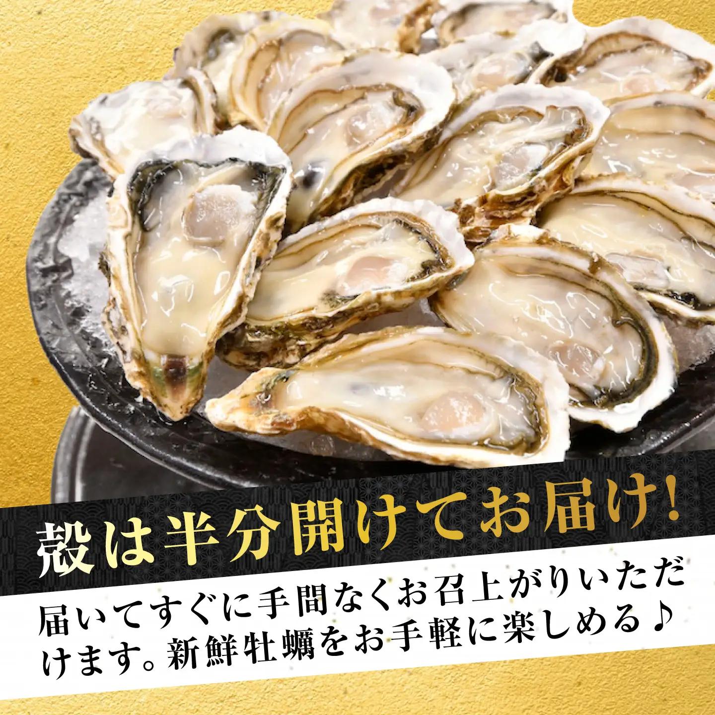 生牡蠣夏かき12個 牡蠣[XBP013]