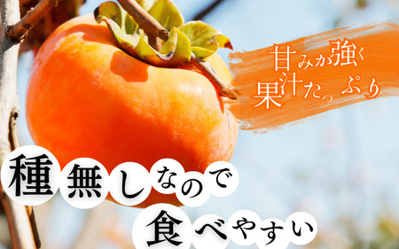  【先行予約】和歌山秋の味覚　平核無柿（ひらたねなしがき）約4kg　化粧箱入　※2026年10月上旬頃〜2026年11月上旬頃順次発送（お届け日指定不可）/柿 果物 フルーツ くだもの 先行予約【uo