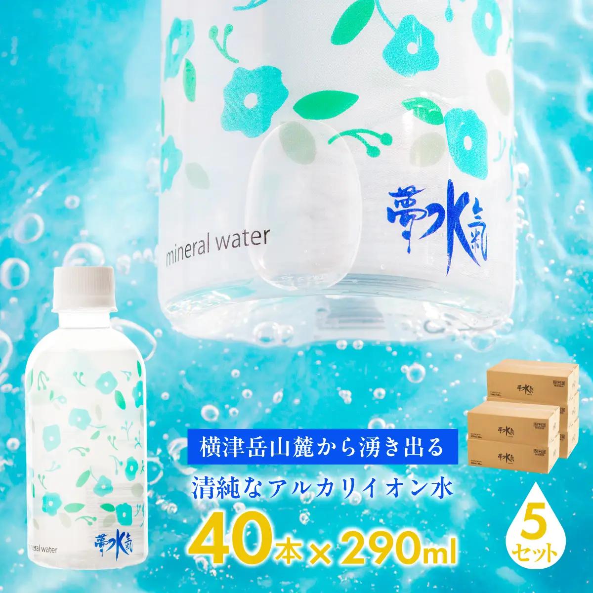 ミネラルウォーター夢水氣（290ml×40本）5セット 天然アルカリイオン水 NABI007