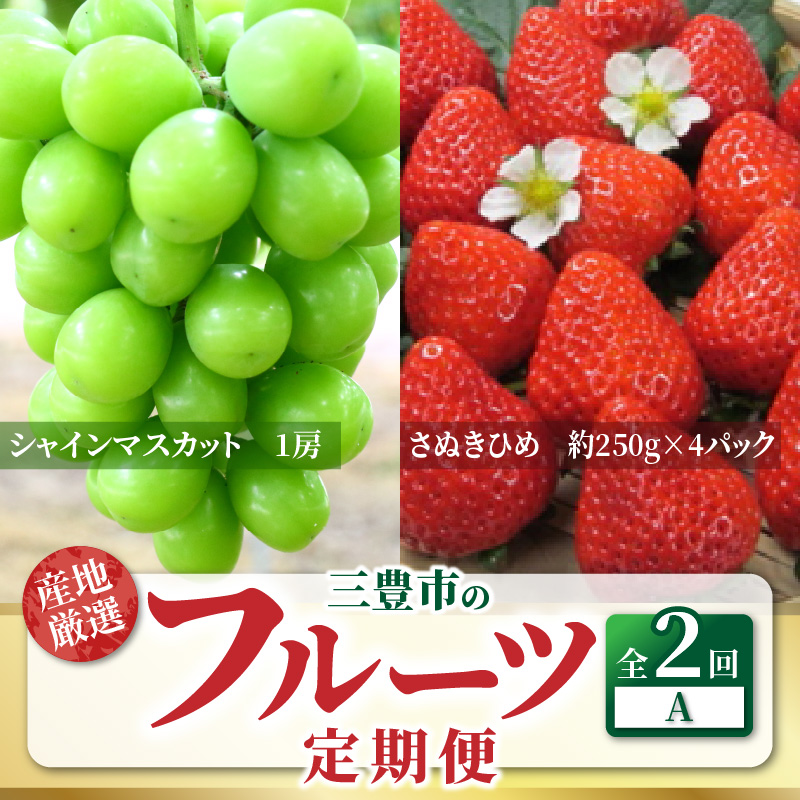 【ふるさと納税】【配送不可地域：北海道・沖縄県・離島】定期便 フルーツ 2回 お届け シャインマスカット 大粒 1房 800g以上 糖度17度以上 さぬきひめ いちご 約1kg 以上 旬の果物  お取