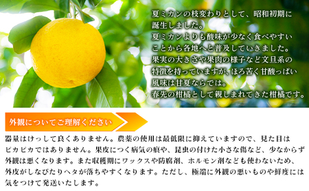 先行予約 ＜無茶々園の甘夏 約3kg＞ 果物 あまなつ みかん ミカン 蜜柑 柑橘 フルーツ 期間限定 季節限定 食べて応援 特産品 愛媛県 西予市 【常温】『2025年3月上旬～5月上旬迄に順次出荷