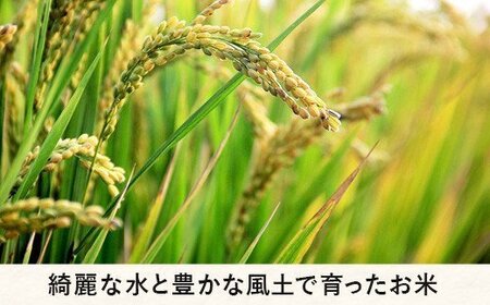 米 こしひかり 10kg × 6回 【 6か月 定期便 】( 令和7年産 ) 2025年10月上旬頃から順次発送予定 米澤商店 コシヒカリ 白米 精米 長野県 飯綱町 [1246]