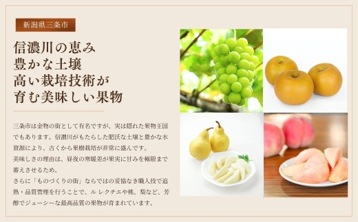先行予約 特別栽培米 ミルキークイーン 5分搗き 5kg 新潟県産 令和8年産 [佐藤農産有機センター]【010S225】