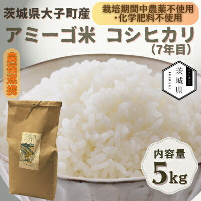 【ふるさと納税】令和7年産新米 アミーゴ米5kg(コシヒカリ・天日干し)【自然の力　栽培期間中農薬・化学肥料不使用】【配送不可地域：離島・沖縄県】【1702218】
