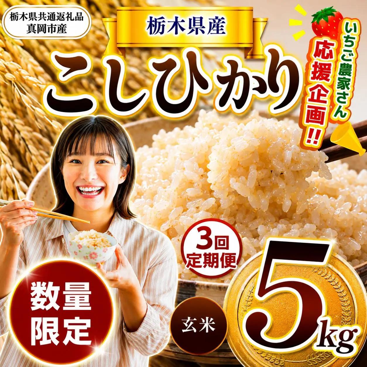 【定期3回】先行予約 令和8年度 栃木県産こしひかり（玄米）約5kg