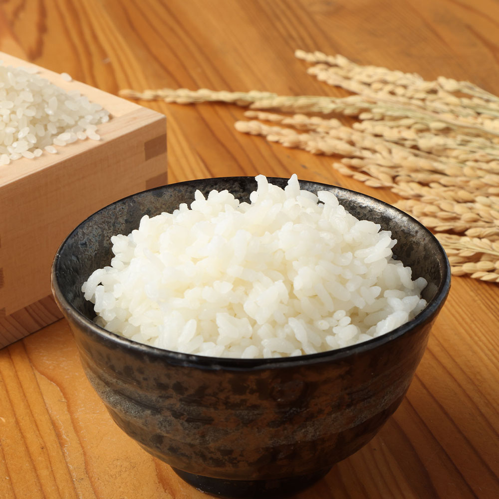 【先行予約】令和７年産 新米 コシヒカリ精米5kg（1袋）白米 お米 ご飯 米 kome こめ コシヒカリ こしひかり 高知県産 5キロ 故郷納税 返礼品 高知 土佐清水市 【R01408】