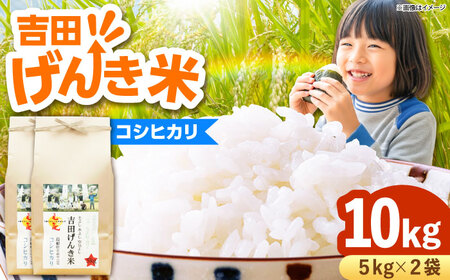 コシヒカリ 吉田げんき米 10kg（5kg×2袋）[AIDB118] コシヒカリ