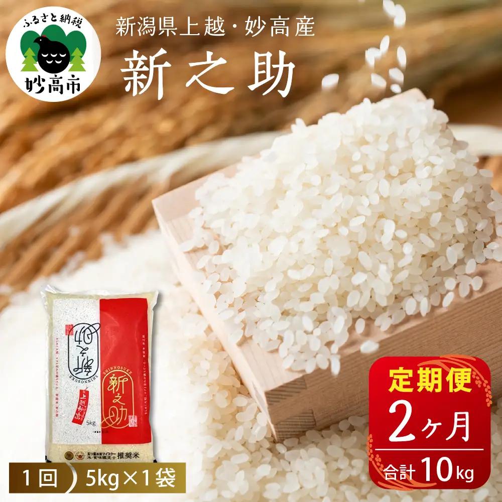 【定期便】【2026年7月中旬より発送】新潟県上越・妙高産新之助5kg×2回（計10kg）