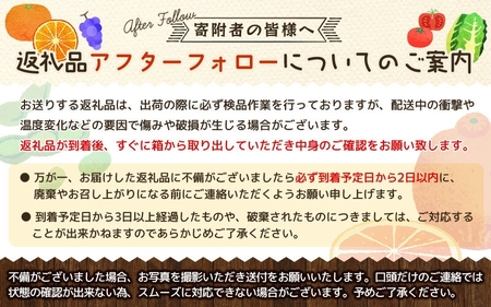 ▼有田みかん 約5kg（小玉）（2S～S）　※2024年12月上旬〜2025年1月上旬頃順次発送予定 【ymk004-5-s】