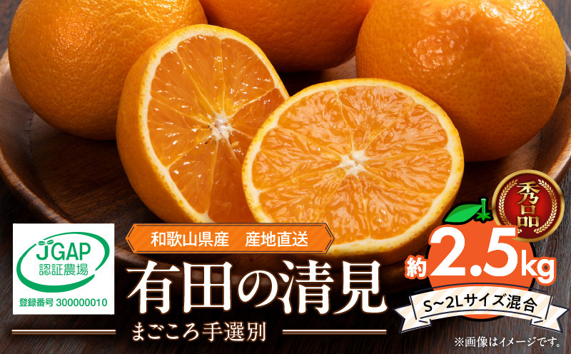 
                  和歌山県産 有田の 清見 2.5kg (S～2Lサイズ混合)【まごころ手選別】_ZE6367n
                
