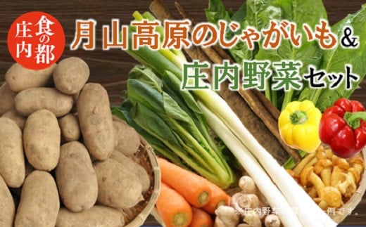 食の都庄内　月山高原のじゃがいも＆庄内野菜セット※10月下旬から1月まで発送