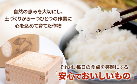 お米 10kg（きぬむすめ） 米 コメ 精米 白米 ご飯 静岡県 島田市 ※配送不可:北海道、沖縄、離島