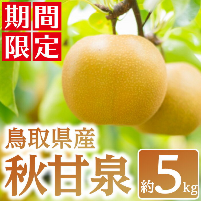 【ふるさと納税】＜数量限定＞＜2025年9月上旬以降順次発送予定＞鳥取県産 秋甘泉(約5kg) 国産 鳥取県 鳥取県産 梨 なし ナシ 果物 くだもの フルーツ スイーツ 旬 【sm-BZ003】【岡田商店】