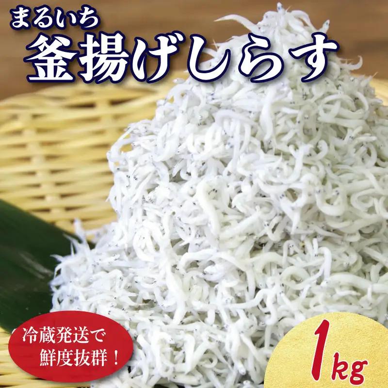 しらす 釜揚げ 1kg 250g ×4袋 5月から12月中旬まで発送 