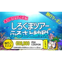 【ふるさと納税】【本部町】しろくまツアーで利用可能なWEB旅行クーポン（60万円分）