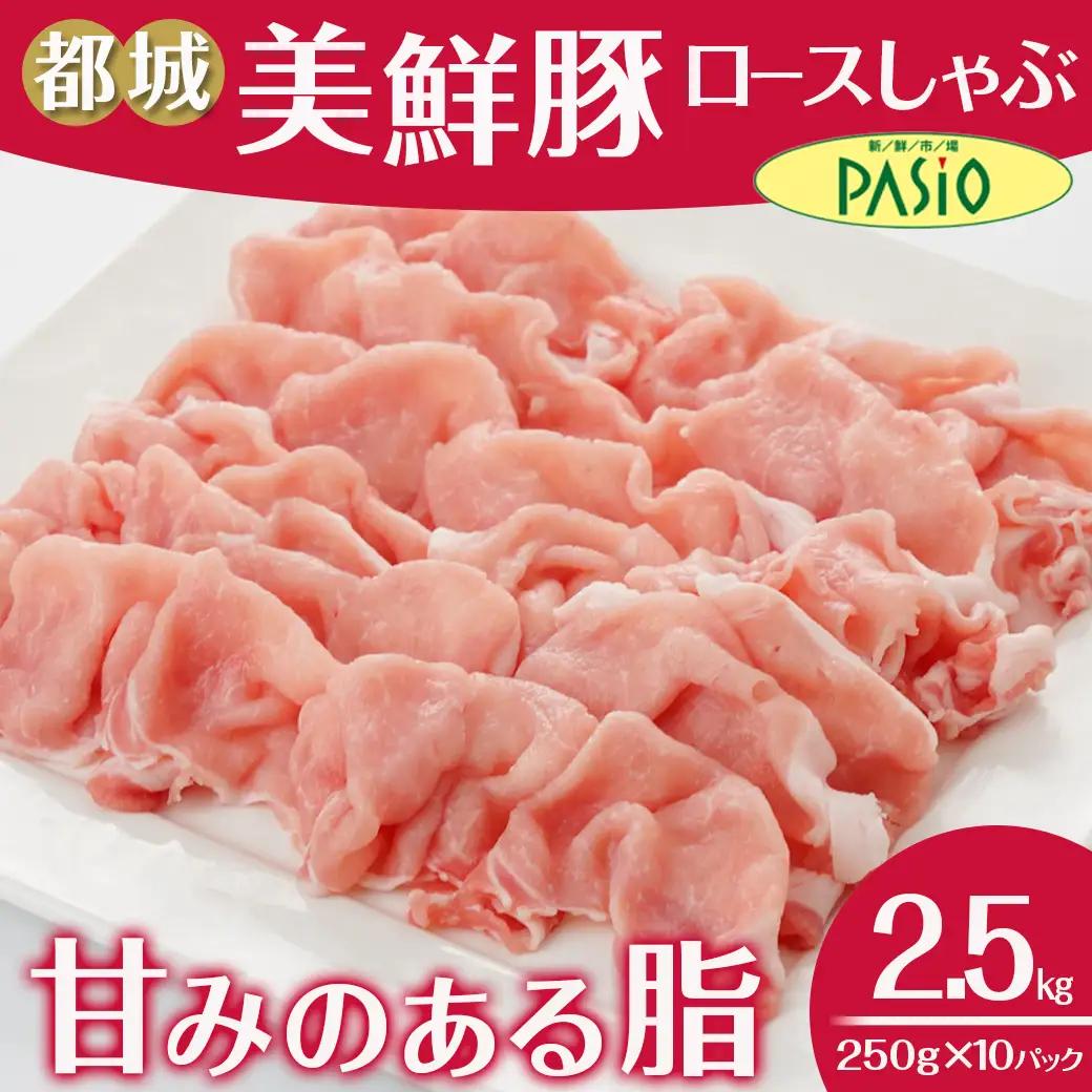 都城美鮮豚ロースしゃぶしゃぶ2.5kg(250g×10パック)〔AC-5405〕_(都城市) 豚肉 ミルフィーユ鍋 しゃぶしゃぶ 炒め物 丼物 アレンジ豊富 パック詰め 