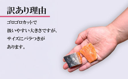 訳あり ゴロゴロ銀鮭 1.5kg 鮭 鮭 鮭 鮭 鮭 塩釜水産食品