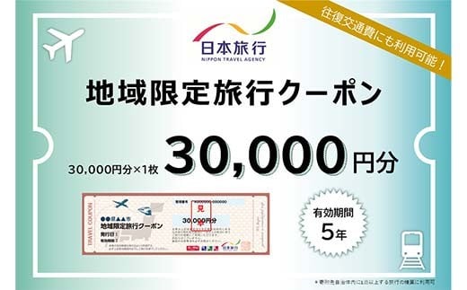 
            【加賀市】石川県加賀市 日本旅行 地域限定旅行クーポン30,000円分 チケット 旅行 宿泊券 ホテル 観光 旅行 旅行券 交通費 体験 宿泊 夏休み 冬休み 家族旅行 ひとり カップル 夫婦 親子 トラベルクーポン 加賀旅行 F6P-1019
          